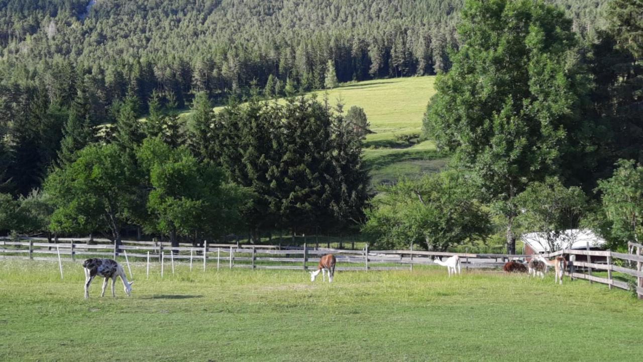 Naturidyll Brunner Kostendorf Extérieur photo